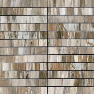 1 x 6 Timeless Fossil Natural composizione