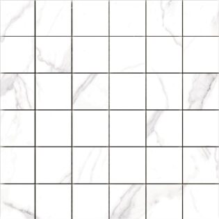 2 x 2 Luxa White Matte Porcelain Mosaic