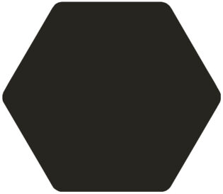 10 x 10 Toscana Negro Porcelain matt finished Hex