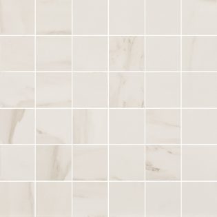 2 x 2 Ageless Charleston Matte Porcelain Mosaic