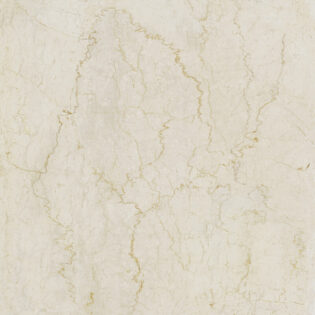 24 x 24 Marmorea Bottocino Matte Porcelain Tile