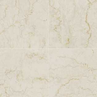 12 x 12 Marmorea Bottocino Matte Porcelain Tile